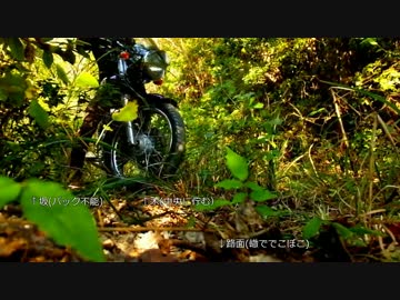 林道 ST250で行けるトコまで。