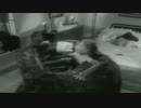 Cherrelle - I Didn't Mean To Turn You On (1984)