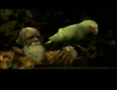 【MGS3】メタルギア全作小ネタいれつつ振り返る#13【実況】