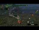 ゲリョス　ランス討伐