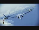 【ACEINF】鬼神機と飛ぶ艦隊TDM その1【F-15C -CP-】