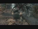 【実況】Bloodborne ノーダメージ攻略目指す ep02 ~聖職者の獣編~