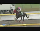 【競馬】2015年 武蔵野S ノンコノユメ【GⅢ】