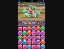 [パズドラ]双極チャレンジ(ゼローグ∞)