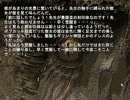 【フルボイス実況】アツゥイ！「暑いから」　にわか乙週末定時放送 Part3