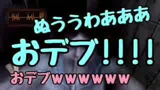 【2人実況】ホラー嫌いの友人と、携帯と懐中電灯と…。【part3】
