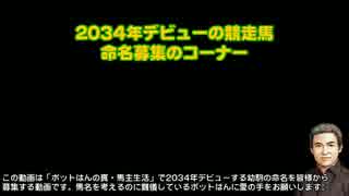 【PS3 ウイニングポスト8 2015】ポットはんの真・馬主生活 命名募集13