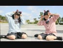 【うーたん　りんりん】　ビバハピ　【踊ってみた】