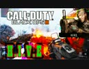 【実況】コフくんCOD:BO3を実況プレイ～集る人、集る蠅～