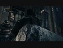 【獣狩り】Blood borne【実況】Part17