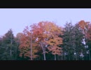 Memoryhouse／Dream Shake