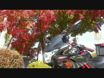 VTR-F部　雁坂みちの裏技.dasaitama