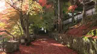 紅葉の京都（2015/11/15)