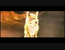 ゼルダの伝説 トワイライトプリンセス バグプレイ Part2