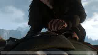 【ウィッチャー3】ゲラルトさんのデスマーチ期間　64日目【ゆ＆結】