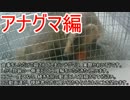 アナグマ獲れたよ！罠狩猟 新米猟師ハンターライフ2-04