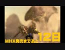 【実況】ＭＨ４Ｇ七つ道具実況プレイ（ガンランス/弓）　パート11b