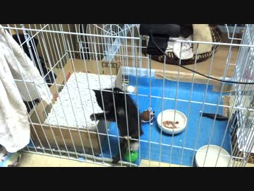 出してやれない時もあります　切ないね・・・