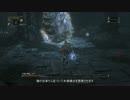 Bloodborne LV4 ボス攻略 深きトゥメル 獣血の丸薬で聖杯ロマゴリ押し