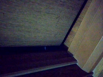 ドアの隙間から白い手が～～！！