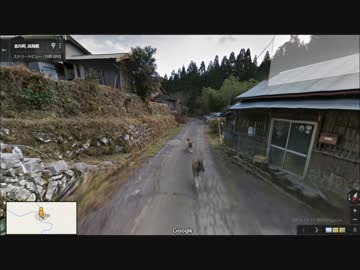 ストリートビュー撮影車を追いかける犬