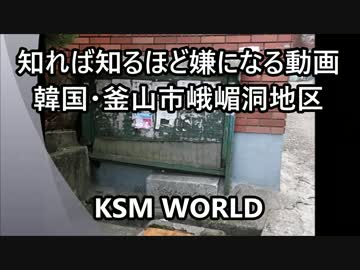 【KSM】知れば知るほど嫌になる動画 韓国・釜山市峨嵋洞地区 日本人墓地