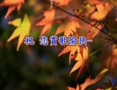 中野忠晴『チャイナ・タンゴ』台湾語版２…劉福助「吃頭路人」