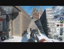 【BO3】ショットガンで突撃します　字幕プレイ動画 BGM付き【PC】