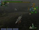 【MHF】ぶつくさ言いながらドスファンゴにリヴェンジした　2/2