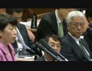 【UC】ブーメラン前に逃げたはずなのに何故か次世代社民に殴られる民主UC