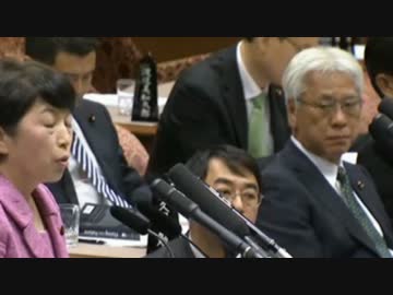 【UC】ブーメラン前に逃げたはずなのに何故か次世代社民に殴られる民主UC