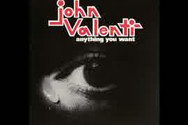 Anything You Want  /  John Valenti