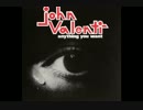 I Wrote This Song For You  /  John Valenti