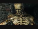 【PS4版】全てを投げ捨ててSL1八周目に挑むとこうなるPart7【ダクソ2実況】