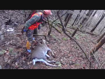 Ropiaのリアル狩猟動画　鹿の巻き狩り編