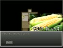 【実況】 和風脱出ゲームを2人で関西弁プレイ Part2 【マヨヒガ】