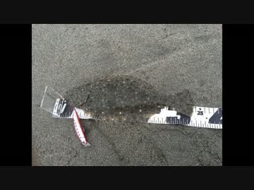 休日は魚釣りに出かけよう Part28