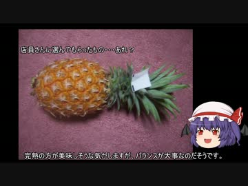 ゆっくり農民20沖縄野菜を育ててみませんか？