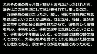 青空文庫朗読　青い絨毯　坂口安吾【ゆっくり音声】2アクセント無し