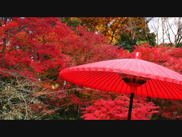 【東方】悠久の刻[原曲：天衣無縫]【自作アレンジ】