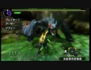 【MHX体験版】ナルガクルガ討伐 ストライカーランス【4'36】