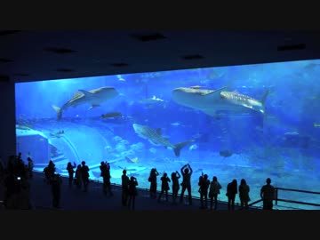 地元佐渡島から日本一周してくる  パート48(沖縄:南城〜本部町)