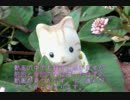 【実況】妖精のステッキとふしぎの木 10日目