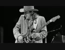 Scuttle Buttin' / Stevie Ray Vaughan Guitar Backing Track (Ver.1.03)