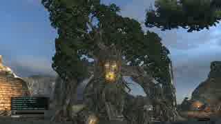 【実況】DDONでひと狩りいこうぜ！【ドラゴンズドグマオンライン】＃５０
