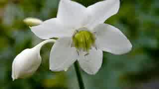 《30分耐久》空音 Empty Tone《dod3》