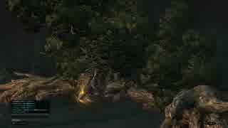 【実況】DDONでひと狩りいこうぜ！【ドラゴンズドグマオンライン】＃５１