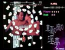 とても綺麗な弾幕.mp4