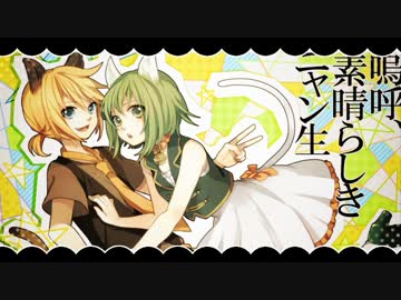 コンビ愛溢れる二人で嗚呼、素晴らしきニャン生歌わせて頂いた！