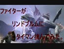 【DDON】ファイターがリンドブルムにタイマン挑んでみた【かっくん】